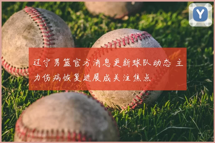 辽宁男篮官方消息更新球队动态 主力伤病恢复进展成关注焦点