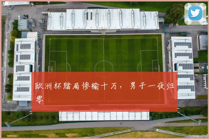 欧洲杯赌局惨输十万，男子一夜归零