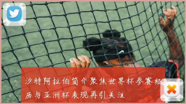 沙特阿拉伯简介聚焦世界杯参赛经历与亚洲杯表现再引关注