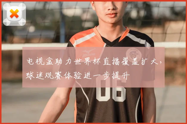 电视盒助力世界杯直播覆盖扩大，球迷观赛体验进一步提升