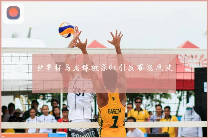 世界杯乌龙球被杀da引发赛场风波