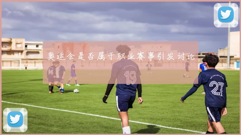 奥运会是否属于职业赛事引发讨论